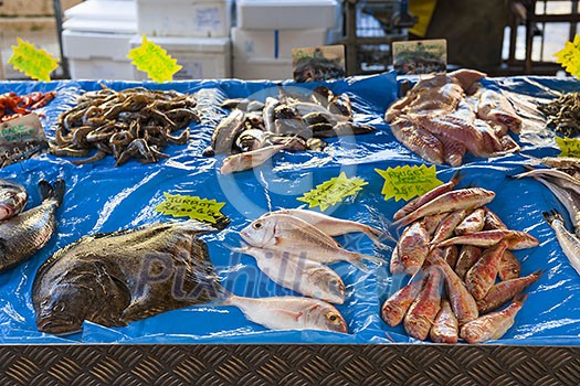 Fresh fish for sale on outdoor market in old Nice, France. Fresh fish for sale on outdoor market in old Nice, France.