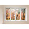 Large four pane window looking on colorful fall forest