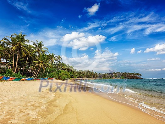 Tropical paradise idyllic beach. Mirissa, Sri lanka
