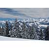 Splendid winter alpine scenery with high mountains and trees covered with snow