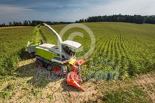 Modern combine harvester unloading green corn into the trucks