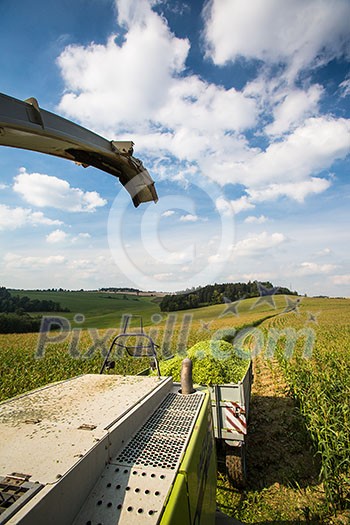 Modern combine harvester unloading green corn into the truck Modern combine harvester unloading green corn into the truck