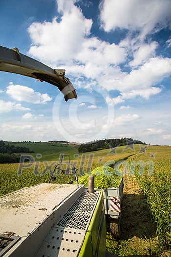 Modern combine harvester unloading green corn into the truck