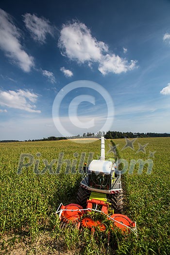 Modern combine harvester unloading green corn into the trucks