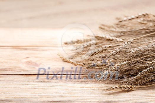 wheat on wooden background