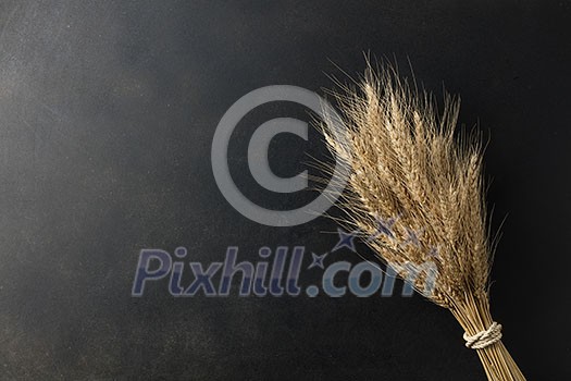 wheat on black background. top view