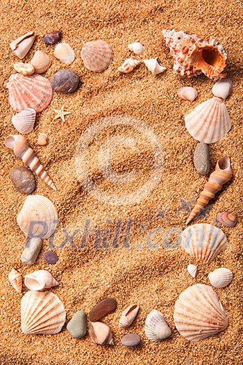 background of various shells on sand. Top view