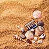 background of various shells and small ship in bottle on sand. Top view