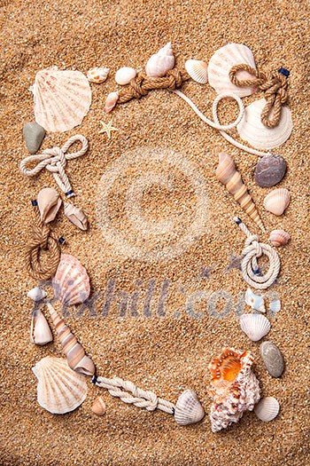 background of various shells on sand. Top view background of various shells on sand. Top view