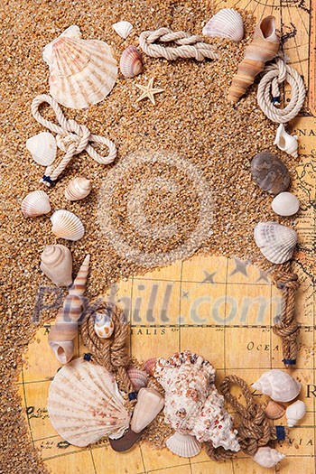 background of various shells on sand and old map. Top view background of various shells on sand and old map. Top view