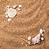 background of various shells on sand. Top view