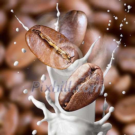 Falling roasted coffee beans with steam and milk splash Falling roasted coffee beans with steam and milk splash