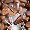Falling roasted coffee beans with steam and milk splash