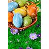 color easter eggs in basket on the green grass