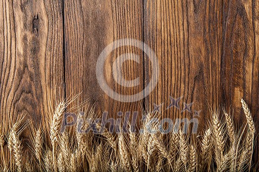 wheat on wooden background. top view wheat on wooden background. top view