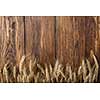 wheat on wooden background. top view