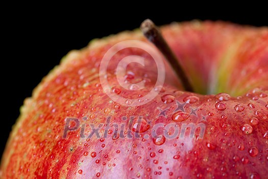 red apple isolated on black red apple isolated on black