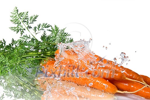 fresh water splash on carrot isolated on white