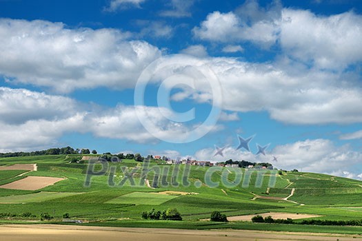 Vineyard landscape, Montagne de Reims, France Vineyard landscape, Montagne de Reims, France