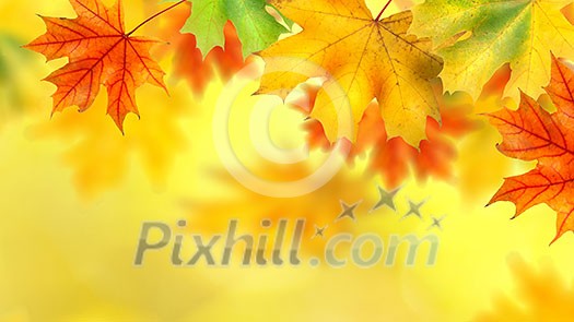 background with autumn leaves. Header for website background with autumn leaves. Header for website