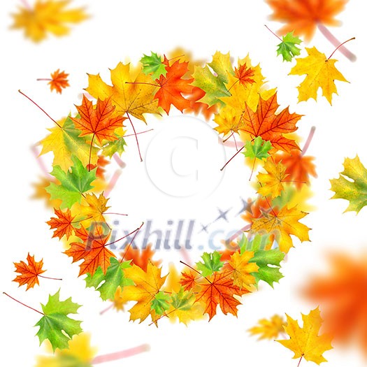 wreath from autumn leaves isolated on white