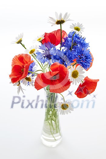 Bouquet of wildflowers - poppies, daisies, cornflowers - on white background, studio shot.