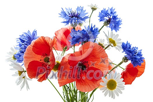 Bouquet of wildflowers - poppies, daisies, cornflowers - on white background, studio shot.