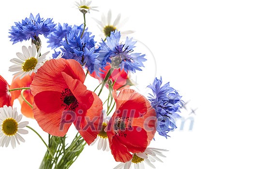 Bouquet of wildflowers - poppies, daisies, cornflowers - on white background, studio shot with copy space