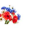 Bouquet of wildflowers - poppies, daisies, cornflowers - on white background, studio shot with copy space