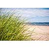 Grass growing on sandy beach at Atlantic coast of Prince Edward Island, Canada