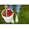 Woman holding bucket of freshly picked strawberries on green grass outside in garden