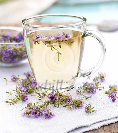 Cup of herbal thyme tea with fresh herb flowers