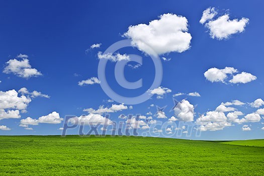 Lush green lentil and wheat fields under blue sky in Saskatchewan prairies of Canada Lush green lentil and wheat fields under blue sky in Saskatchewan prairies of Canada