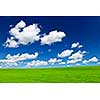 Lush green lentil and wheat fields under blue sky in Saskatchewan prairies of Canada