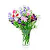 Bouquet of colorful sweet pea flowers in glass vase