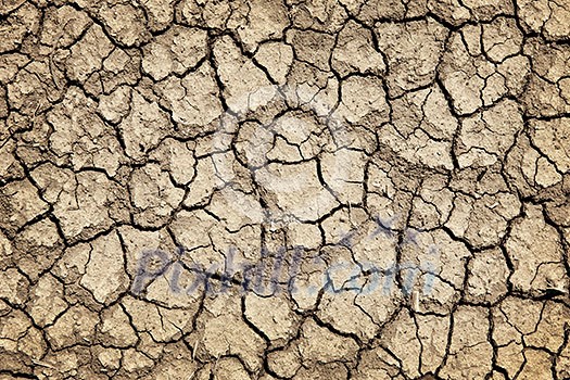Background of dry cracked soil dirt or earth during drought Background of dry cracked soil dirt or earth during drought