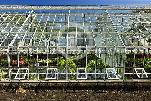 Large glass greenhouse or hothouse building exterior with plants Large glass greenhouse or hothouse building exterior with plants