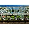 Large glass greenhouse or hothouse building exterior with plants
