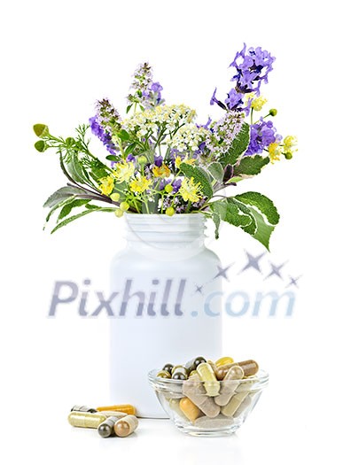 Herb plants with mix of alternative medicine herbal supplements and pills