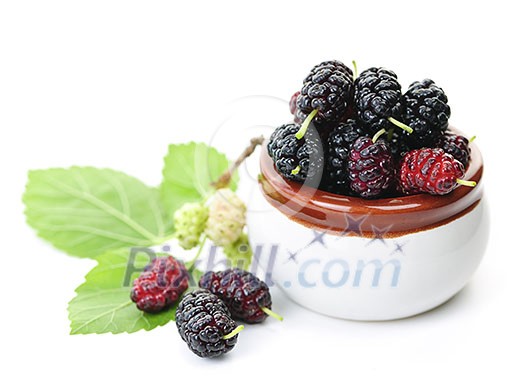 Ripe mulberry berries in a bowl on white background