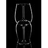 Silhouette of Wine Glasses on black background