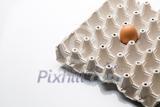 Eggs on white background Eggs on white background