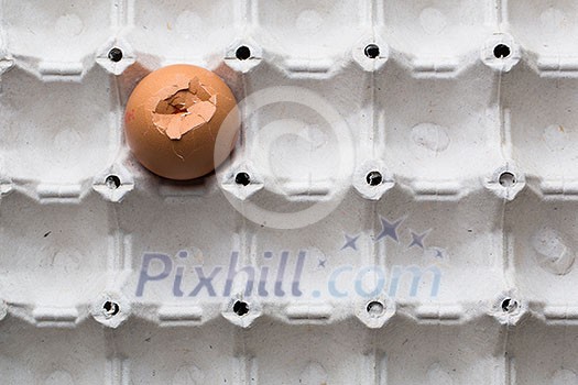 Eggs on white background Eggs on white background