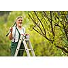 Senior man gardening in his garden (color toned image)