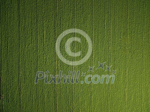 Farmland from above - aerial image of a lush green filed