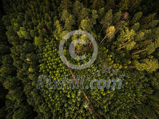 Autumn forest aerial view Autumn forest aerial view