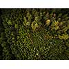 Autumn forest aerial view