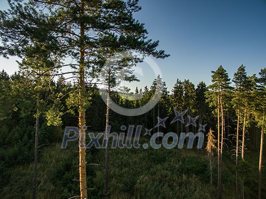 Aerial view of vast forests Aerial view of vast forests