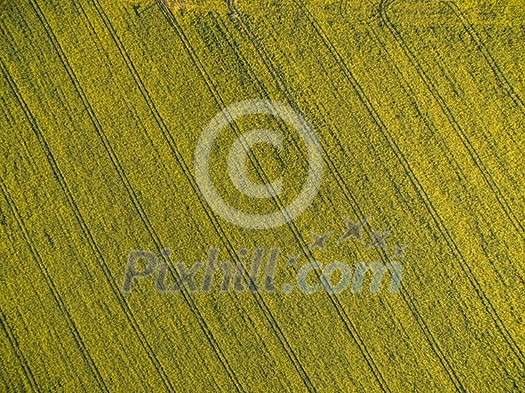 Farmland from above - aerial image of a lush green filed Farmland from above - aerial image of a lush green filed