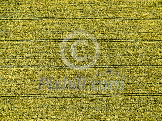 Farmland from above - aerial image of a lush green filed Farmland from above - aerial image of a lush green filed
